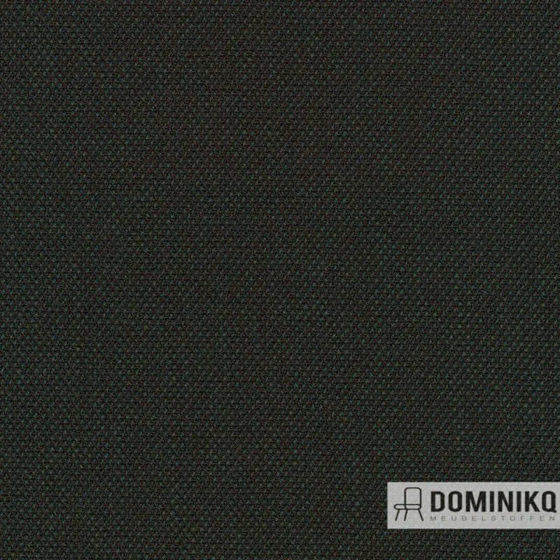 Kvadrat - Steelcut Quartet - 994