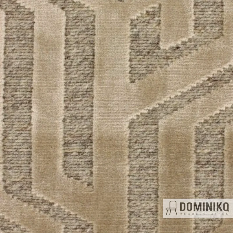 Aristide - Central Park - Canal 215 champagne