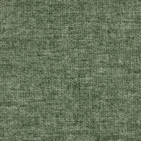 Aristide - Boris-781 Moss