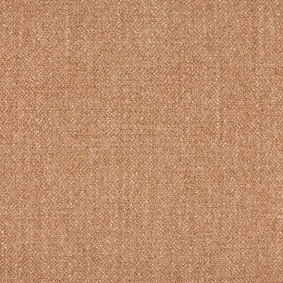 Aristide - Nara - 400 Salmon