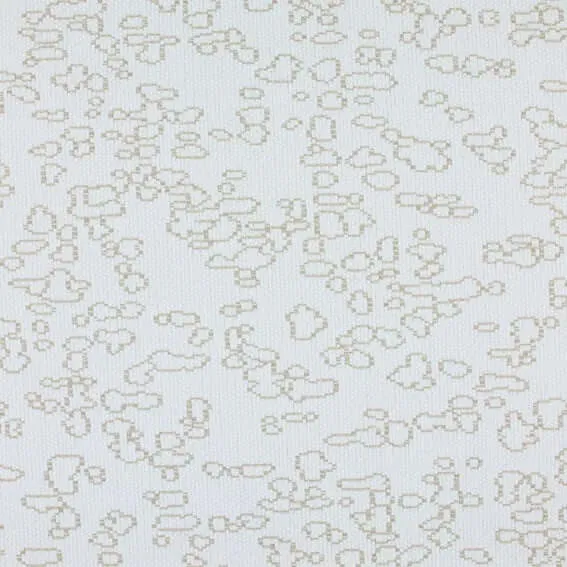 Aristide - Clio - 100 White