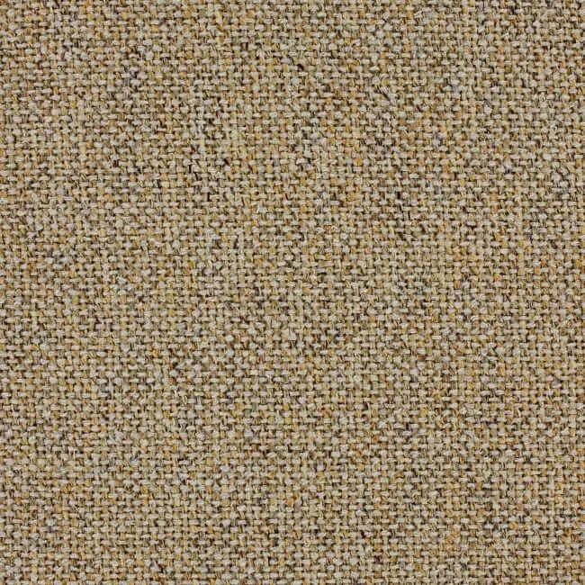 Aristide - Juniper - 360 Amber