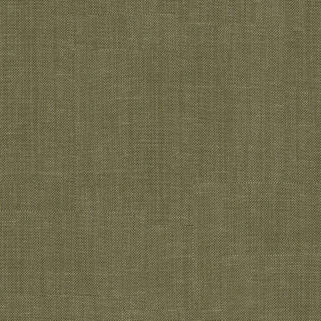 Aristide - Isolde - 720 Endive