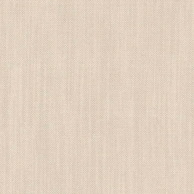 Aristide - Isolde - 215 Champagne