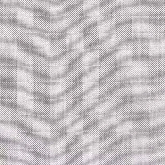 Aristide - Isolde - 110 Taube