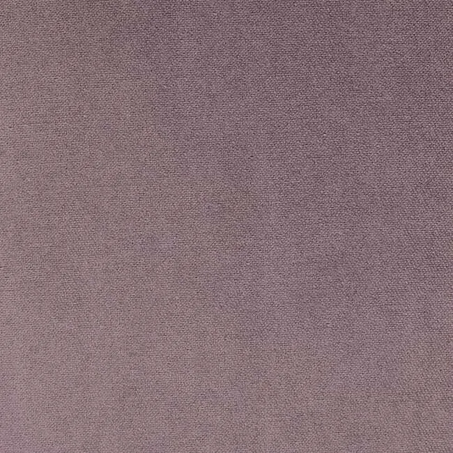 Aristide - Apollo - 560 Distel