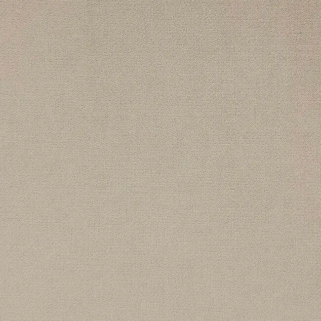 Aristide - Apollo - 215 Champagne