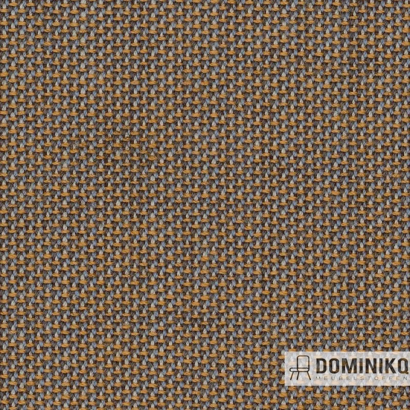 Camira - Penta - PEN24 - Optik