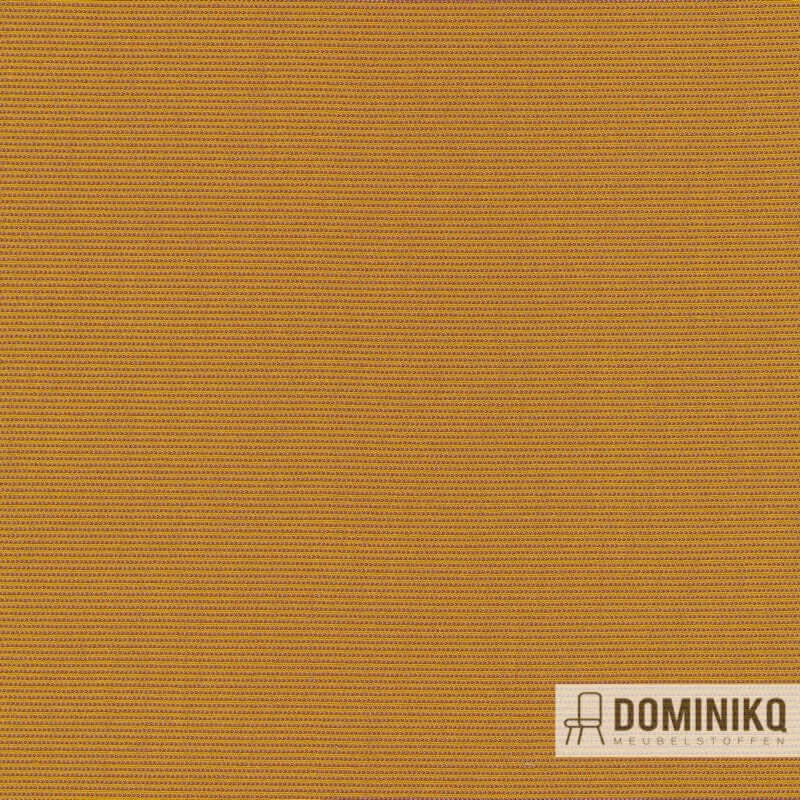 Kvadrat - Febrik - Suunta - 442