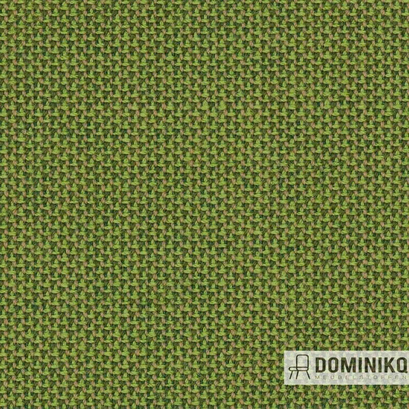 Camira - Penta - PEN08 - Bright
