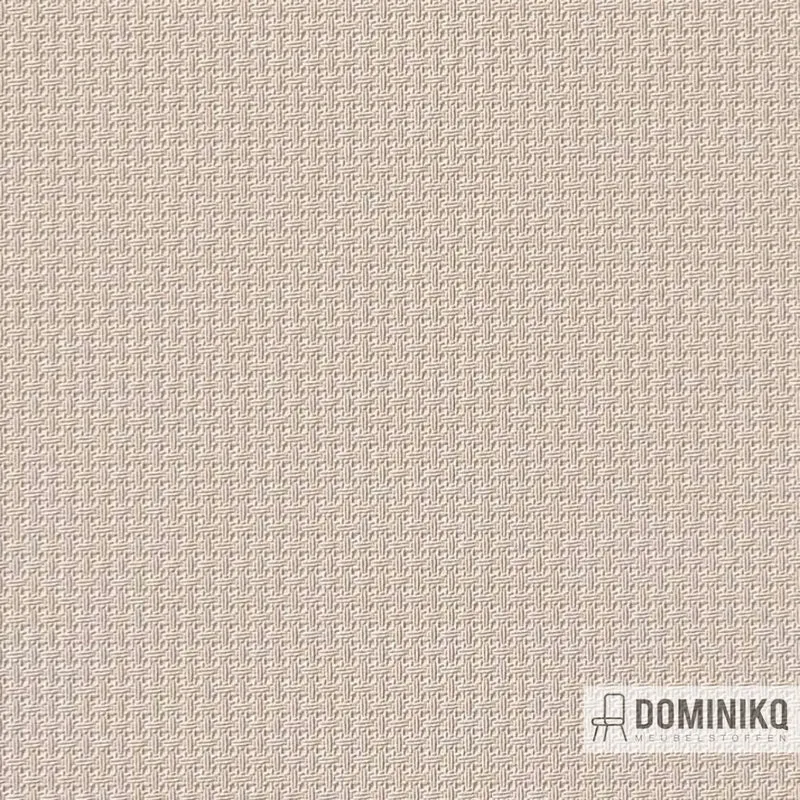 Vyva Fabrics - Beacon - 541893 - Champagne