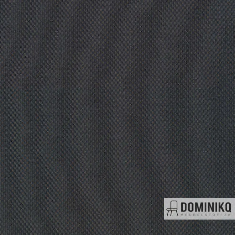Kvadrat - Febrik - Plecto -184