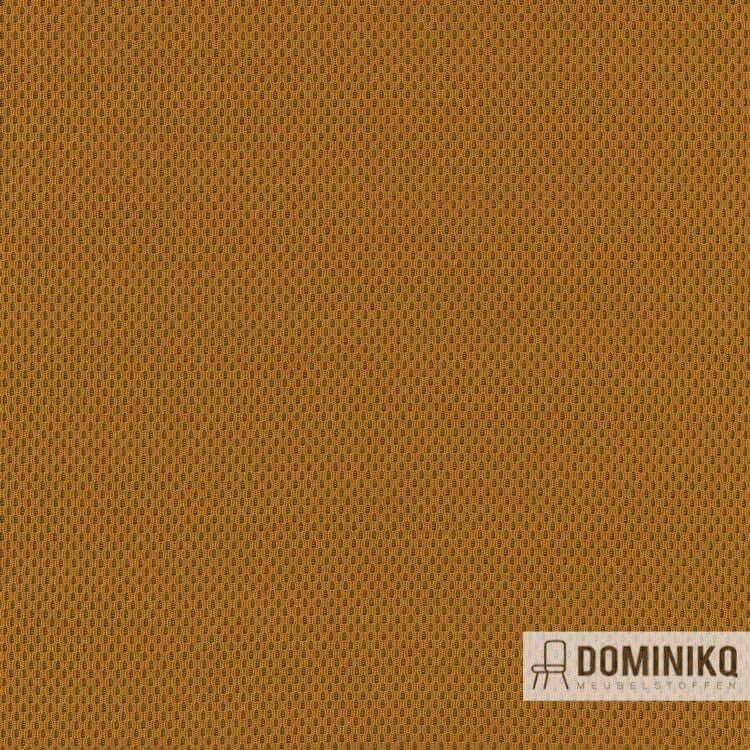 Kvadrat - Febrik - Plecto - 444