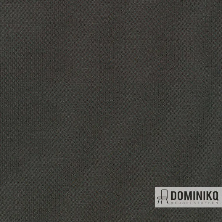 Kvadrat - Febrik - Plecto - 284