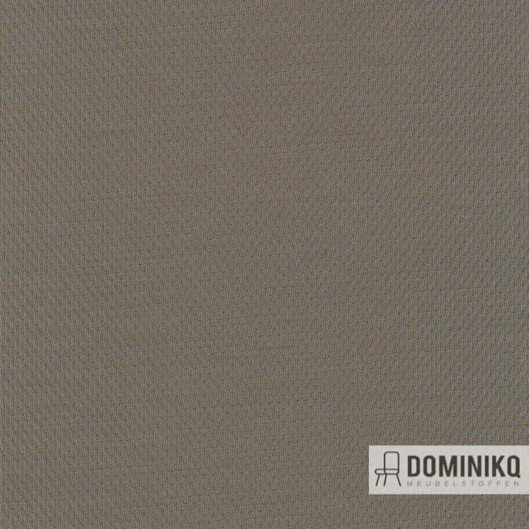 Kvadrat - Febrik - Plecto -244