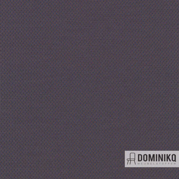 Kvadrat - Febrik - Plecto - 654