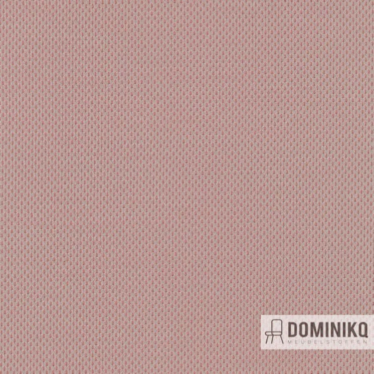 Kvadrat - Febrik - Plecto -624