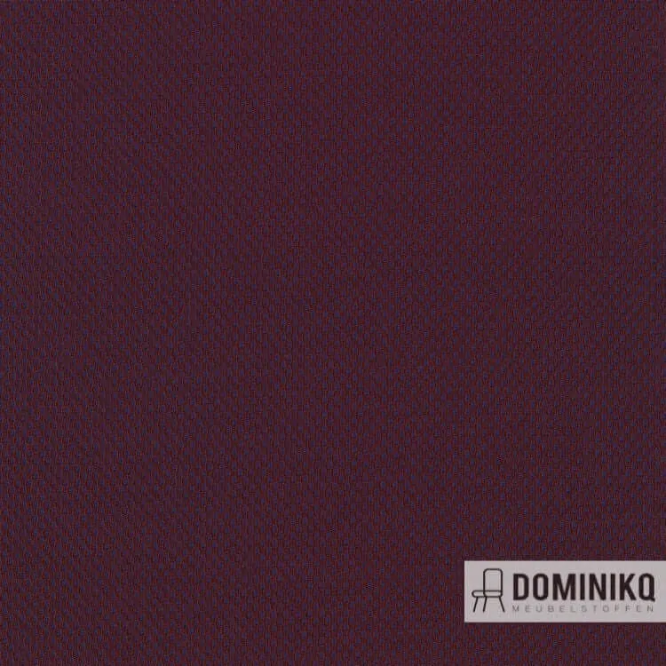 Kvadrat - Febrik - Plecto -684