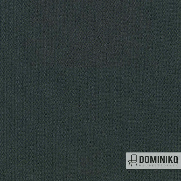Kvadrat - Febrik - Plecto -984