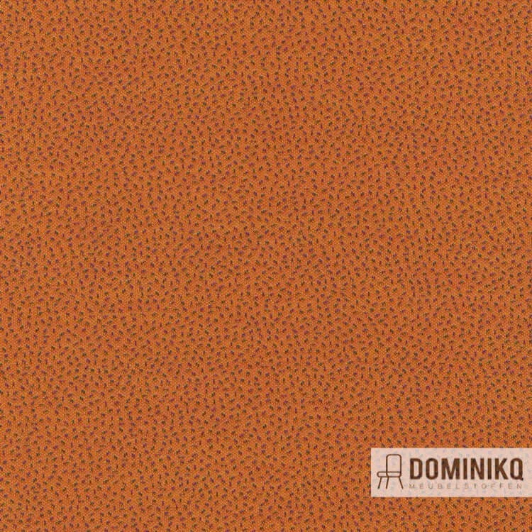 Kvadrat - Febrik - Sprinkles -554