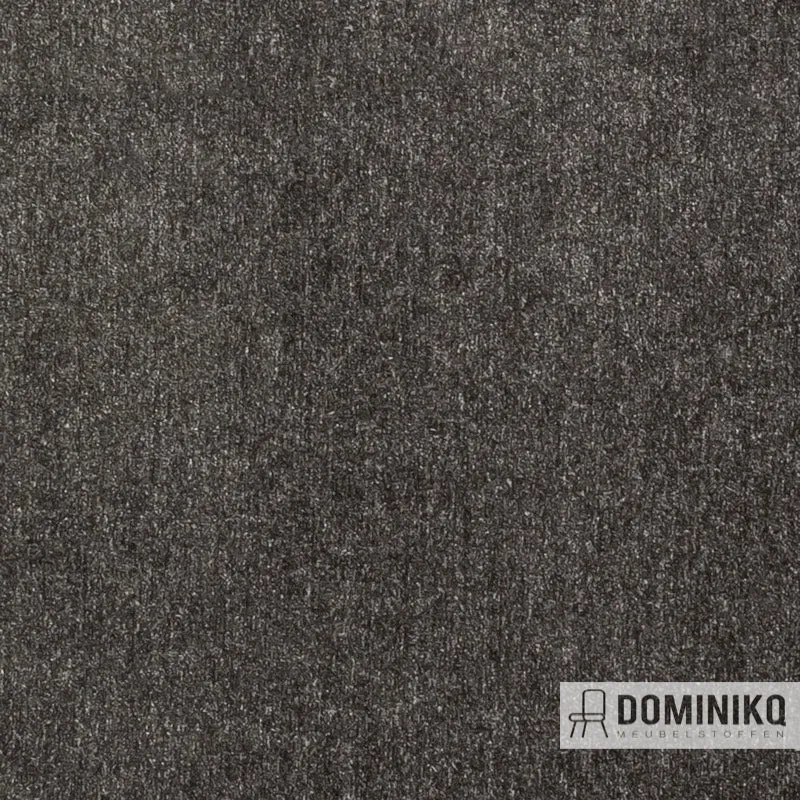 Clarke&Clarke – Purus – Maculo – F1423-07