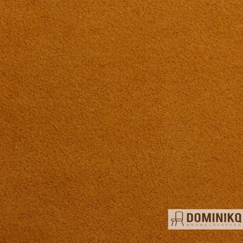 Vyva Fabrics - Dinamica - 9251 - Peru