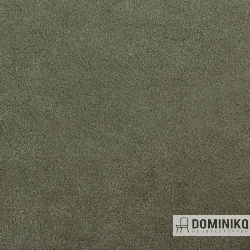 Vyva Fabrics - Dinamica - 8397 - Stone Grün