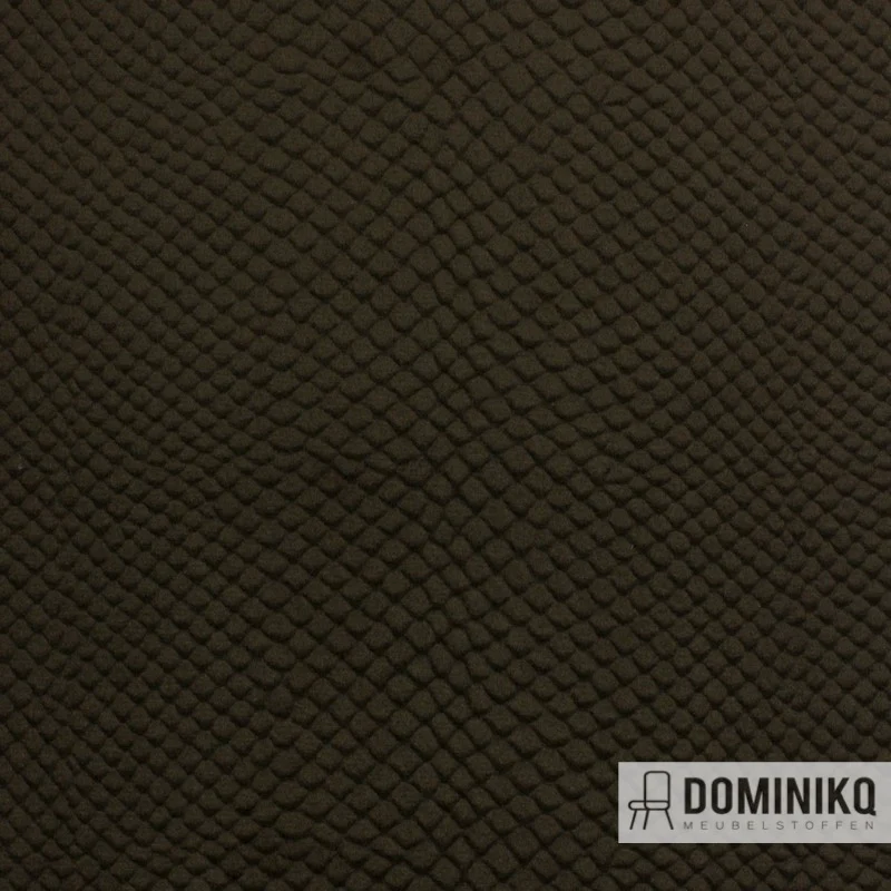 Vyva Fabrics - Glade Stamp - 3474 - Nutmeg