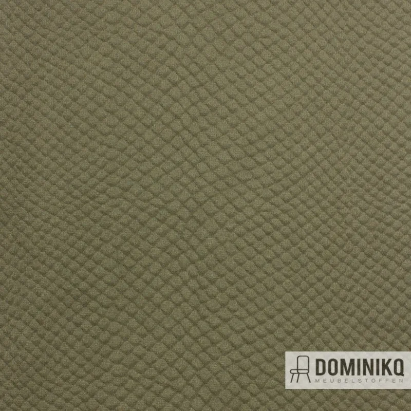 Vyva Fabrics - Glade Stamp - 3472 - Hedge