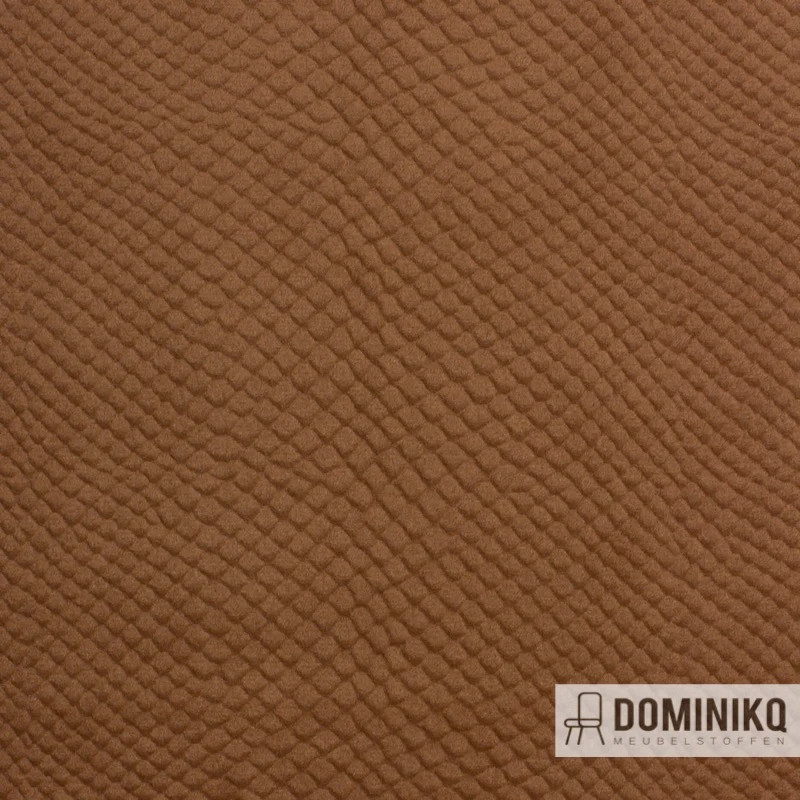 Vyva Fabrics - Glade Stamp - 3479 - Aztec