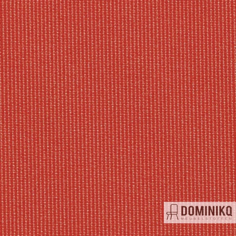 Vyva Fabrics - Globe -2383 Autumn
