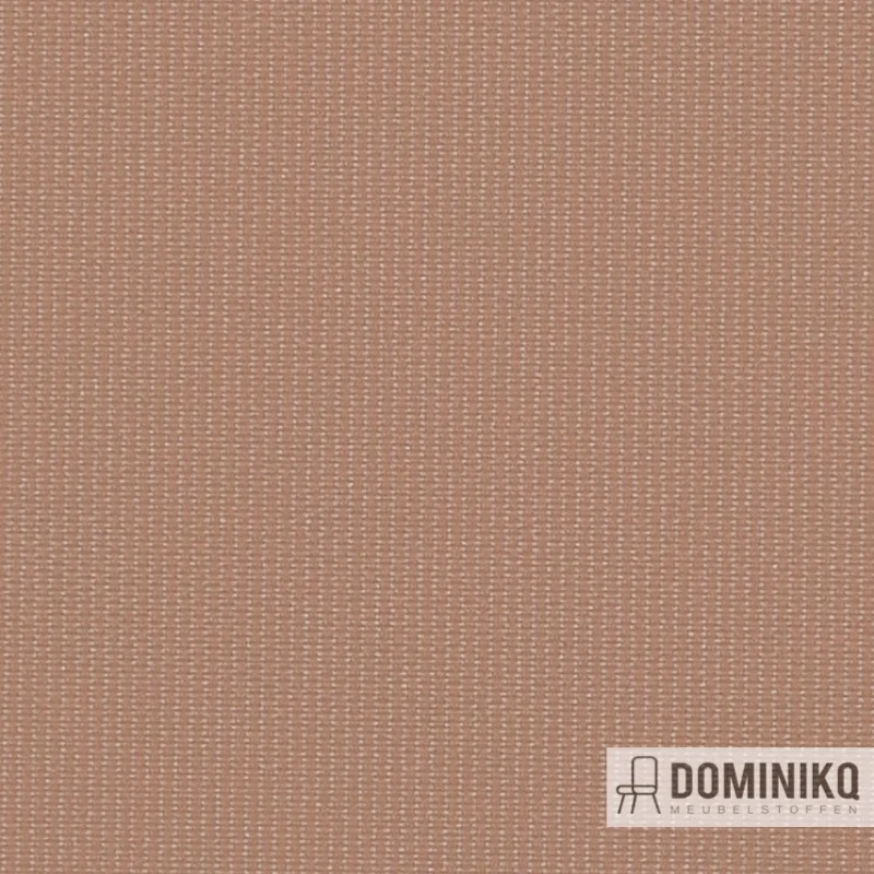 Vyva Fabrics - Globe - 2384 Pekannuss