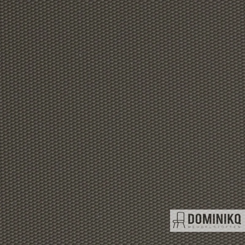 Vyva Fabrics - Globe - 2454 Beton