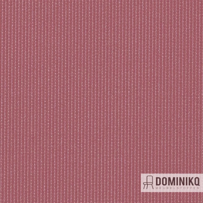 Vyva Fabrics - Globe - 2434 Lila