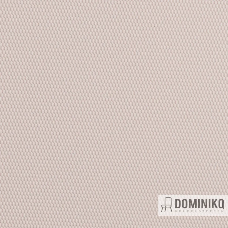 Vyva Fabrics - Globe - 2456 Pale Smoke
