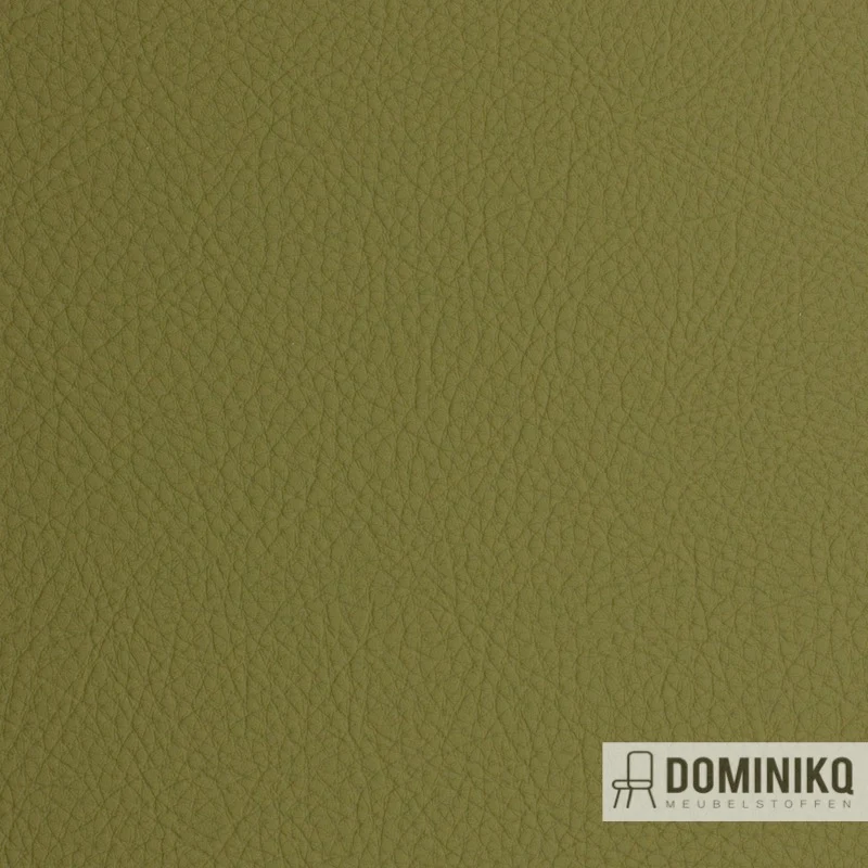 Vyva Fabrics - Cuzco - 4025 CU - Kaktus