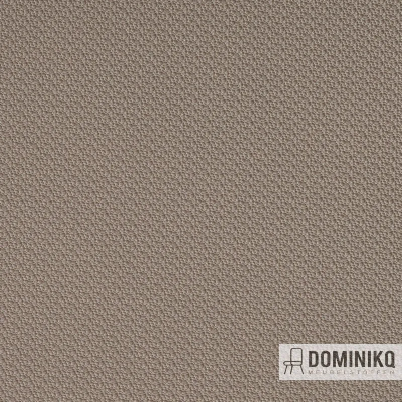 Vyva Fabrics - Hitch -8964 SeaSchale