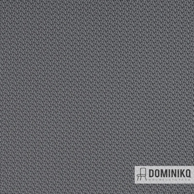 Vyva Fabrics - Hitch - 8961 Zink