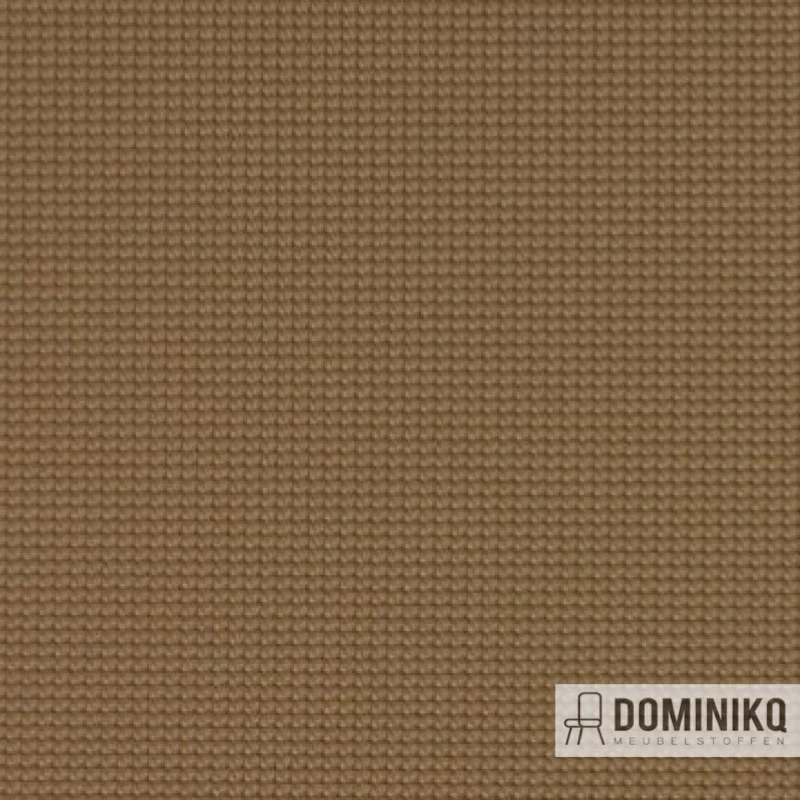 Vyva Fabrics - Legend - 2269 - Cashmere