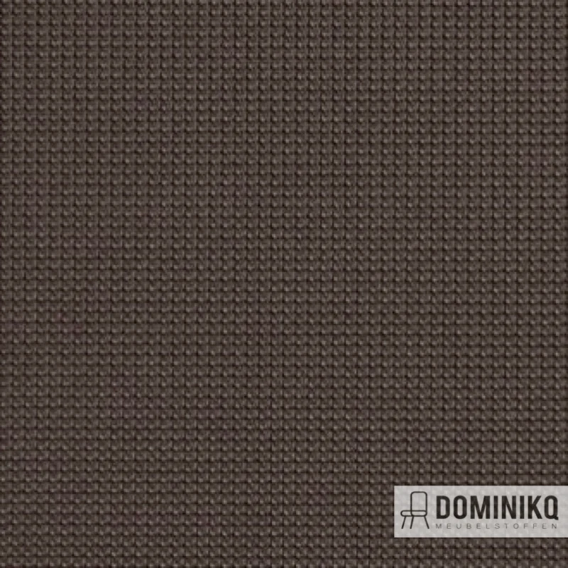 Vyva Fabrics - Legend - 2271 - Charcoal