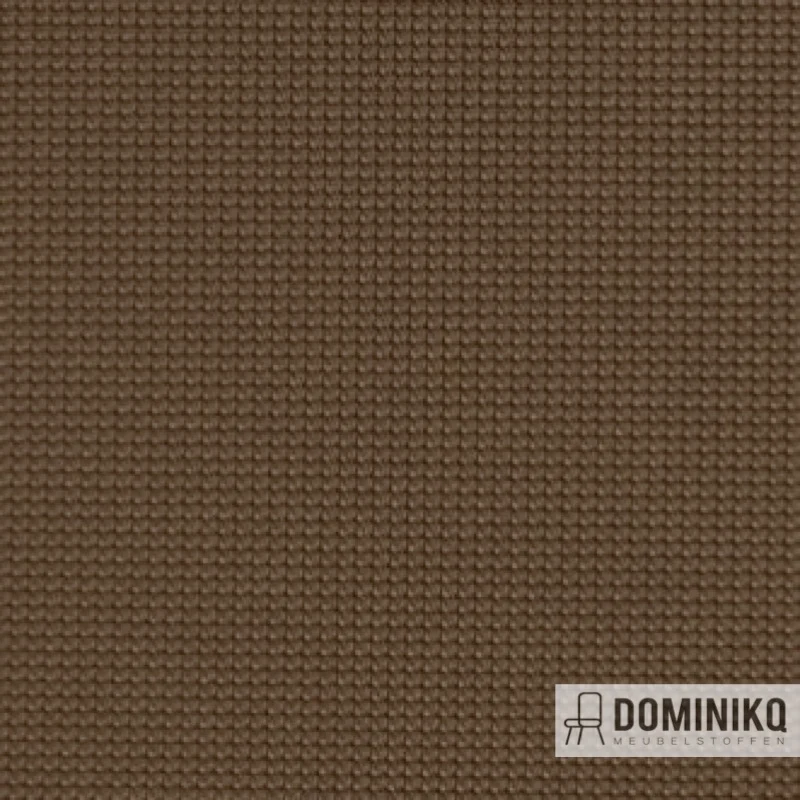Vyva Fabrics - Legend - 2270 - Pine Cone