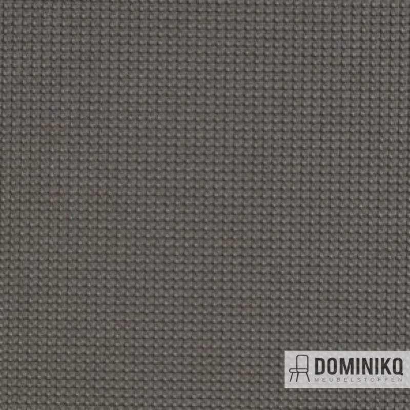 Vyva Fabrics - Legend - 2288 - Mud