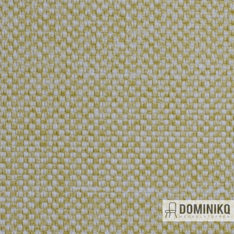 Vyva Fabrics - Maglia - 12000 - Primel