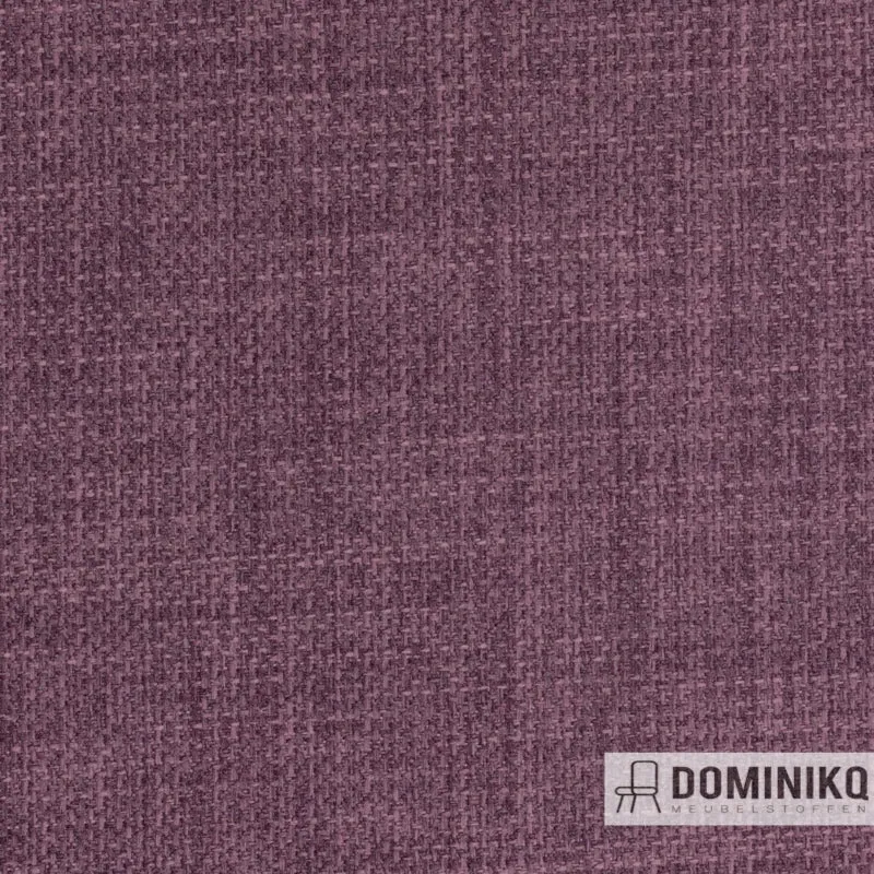 Agua - Linetta - LIN12 - Grape