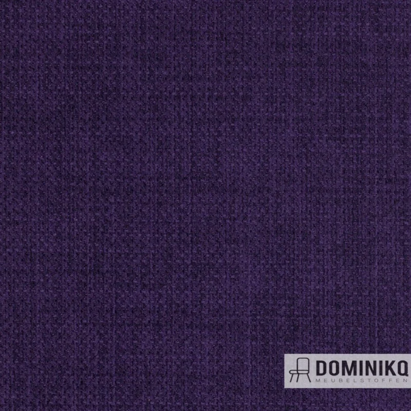 Agua - Linetta - LIN15 - Violet