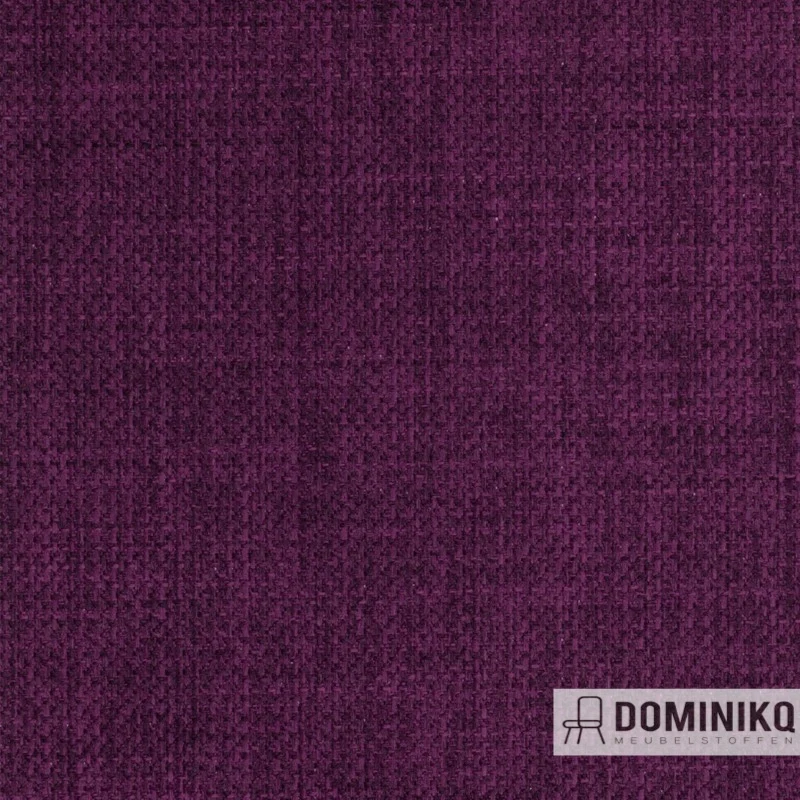 Agua - Linetta - LIN13 - Purple