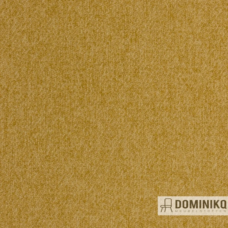 Agua - Tones - CT03 - Gold
