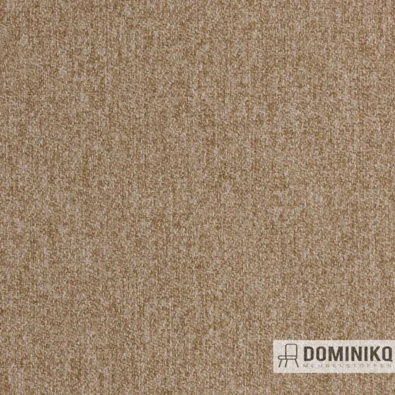 Agua - Tones - CT12 - Latte