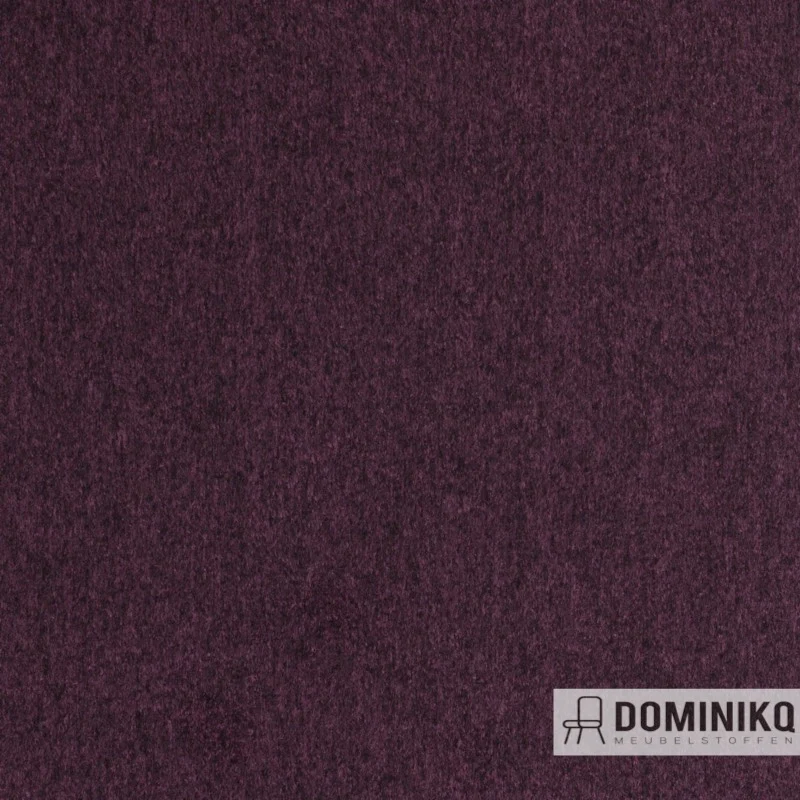 Agua - Cashmir - C08 - Grape