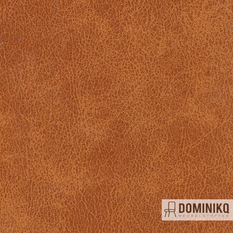 Agua - Alberta Hyde - ALB01 - Maple